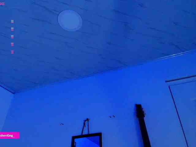 Nicorobin webcam