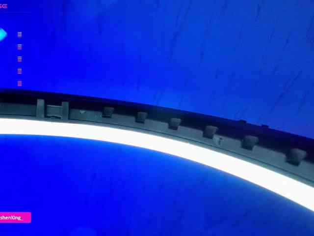 Nicorobin webcam