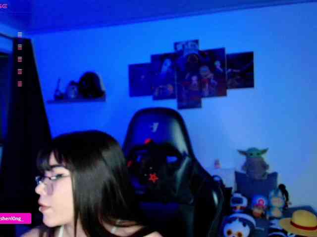 Nicorobin webcam