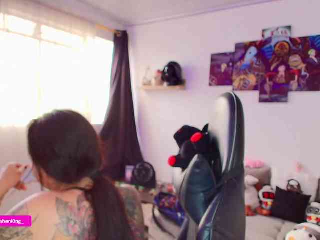 Nicorobin webcam