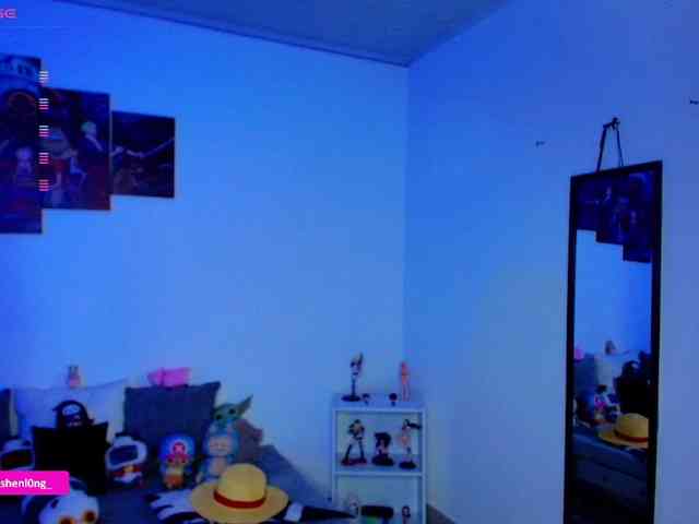 Nicorobin webcam