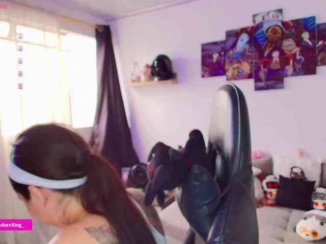 Nicorobin webcam