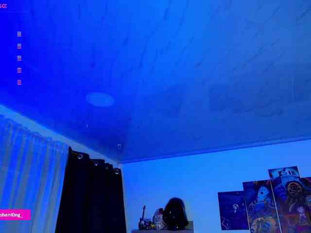 Nicorobin webcam
