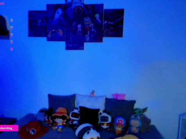 Nicorobin webcam