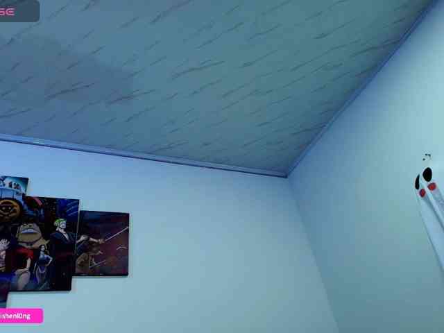 Nicorobin webcam