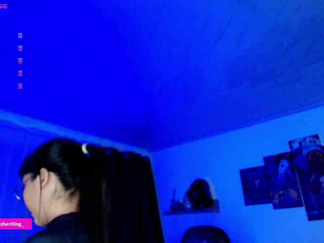 Nicorobin webcam