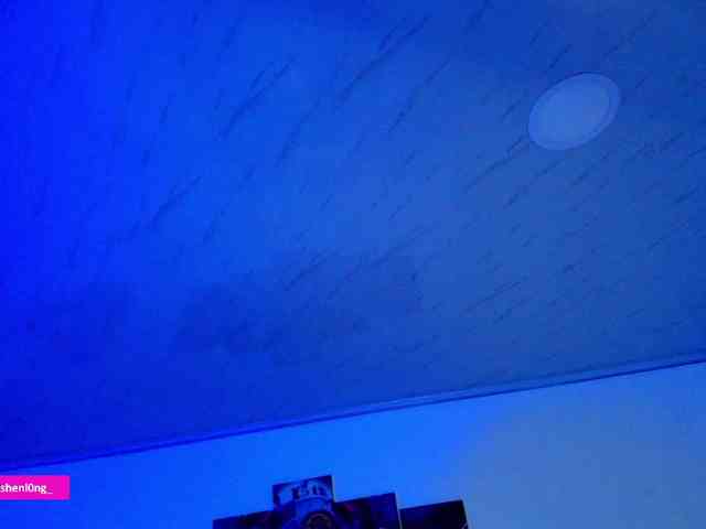 Nicorobin webcam