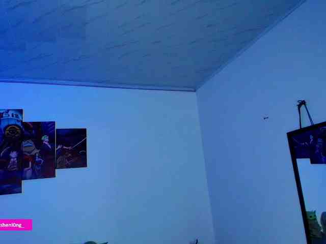Nicorobin webcam
