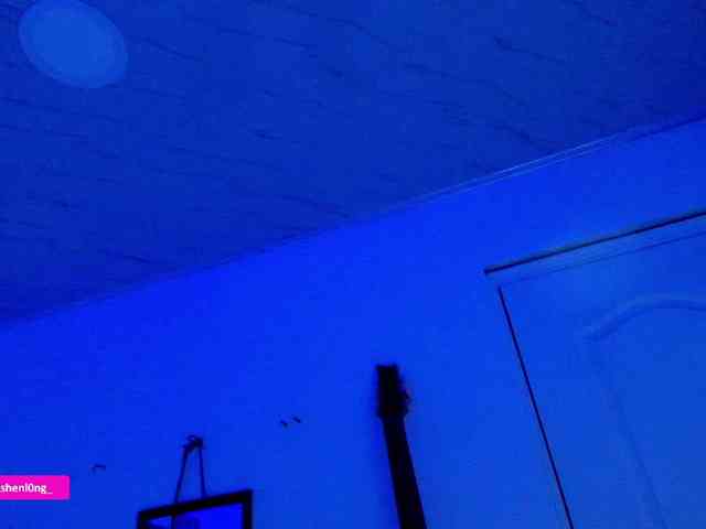 Nicorobin webcam