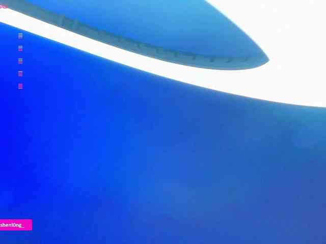 Nicorobin webcam