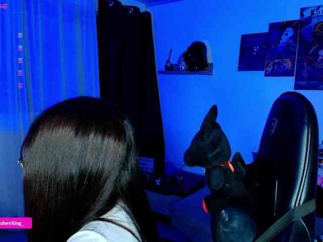 Nicorobin webcam