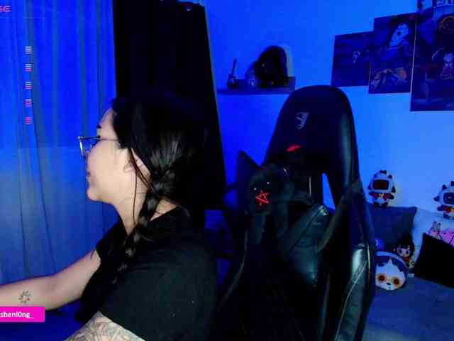 Nicorobin webcam