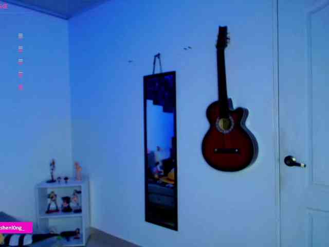 Nicorobin webcam