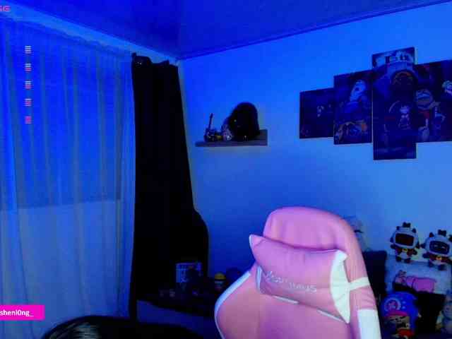 Nicorobin webcam