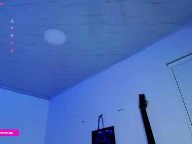 Nicorobin webcam