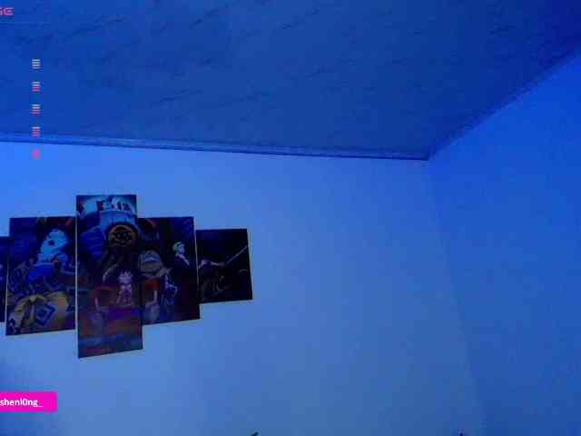 Nicorobin webcam