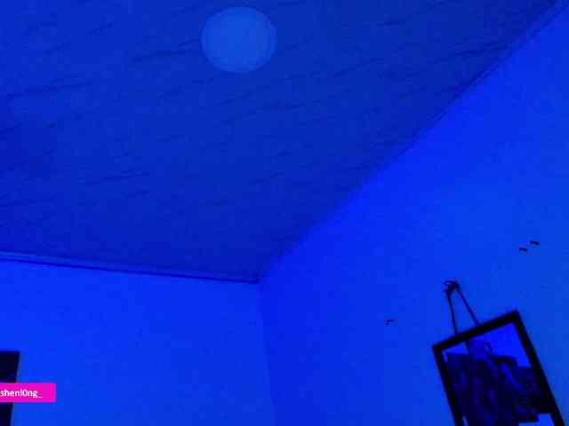 Nicorobin webcam