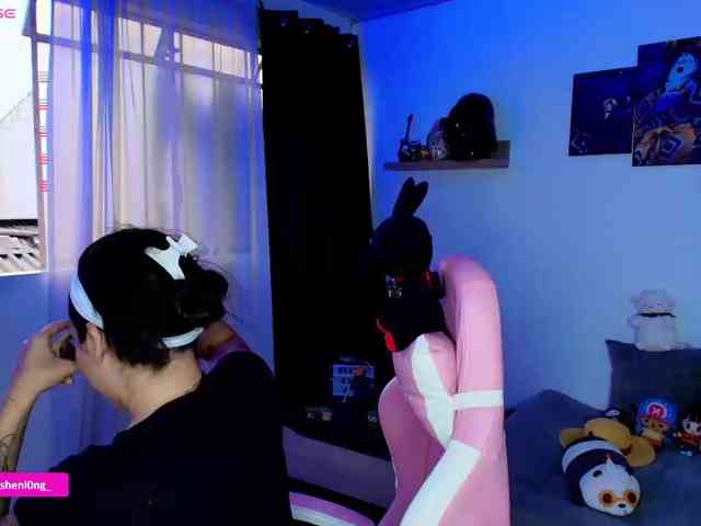 Nicorobin webcam