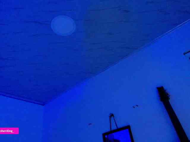 Nicorobin webcam