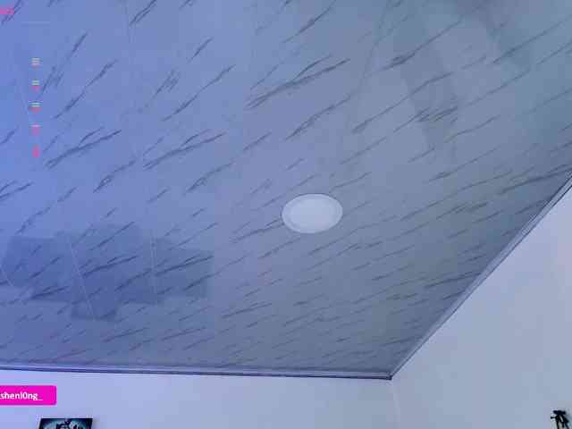 Nicorobin webcam
