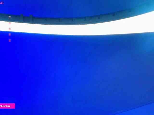 Nicorobin webcam