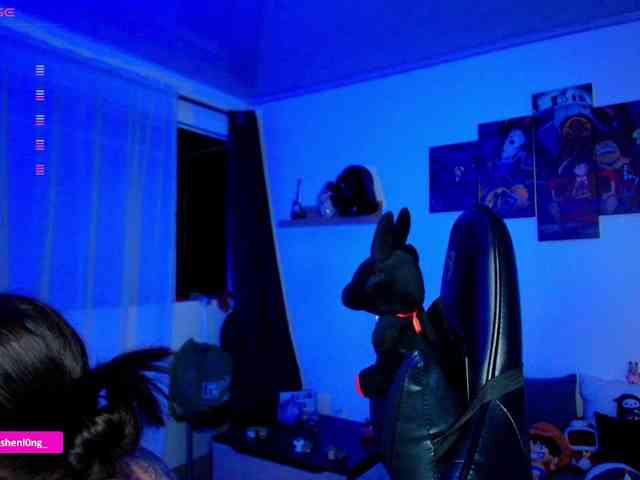 Nicorobin webcam
