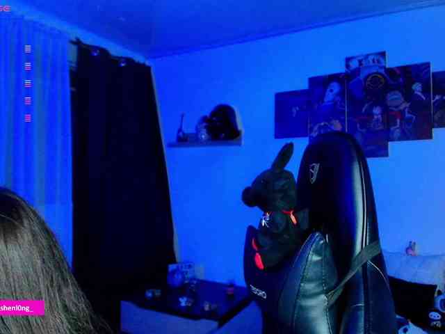 Nicorobin webcam