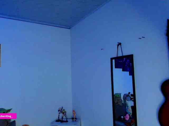 Nicorobin webcam
