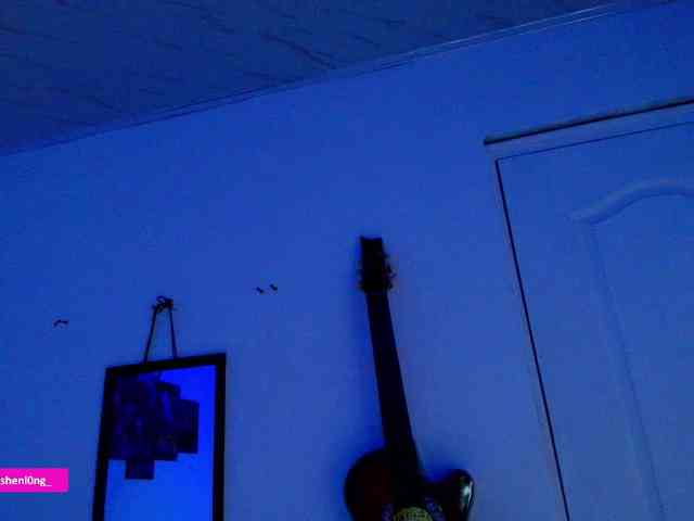 Nicorobin webcam