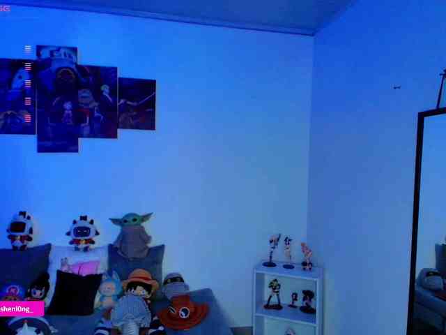 Nicorobin webcam