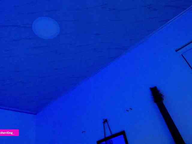 Nicorobin webcam