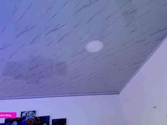 Nicorobin webcam