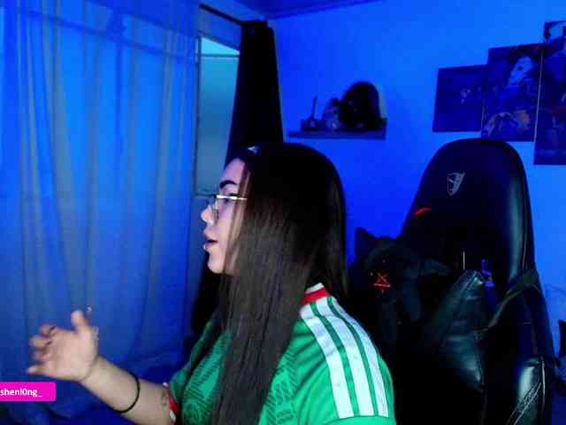 Nicorobin webcam