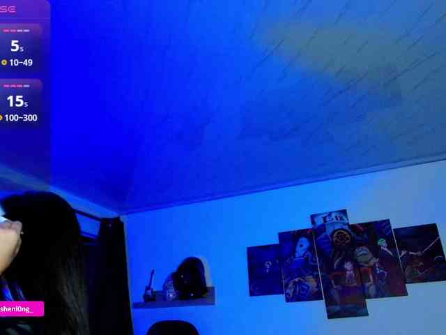 Nicorobin webcam