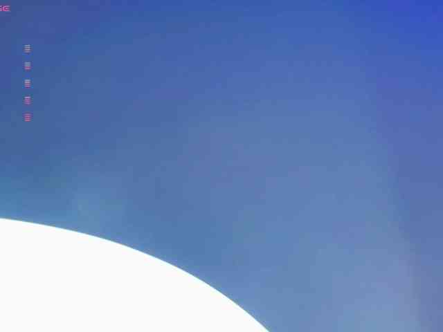 Nicorobin webcam