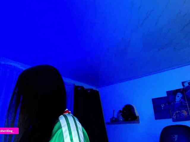 Nicorobin webcam