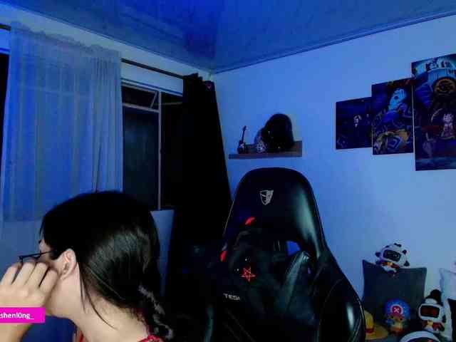 Nicorobin webcam