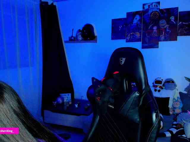 Nicorobin webcam
