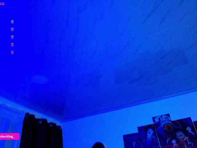 Nicorobin webcam