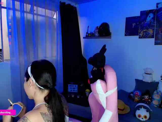 Nicorobin webcam