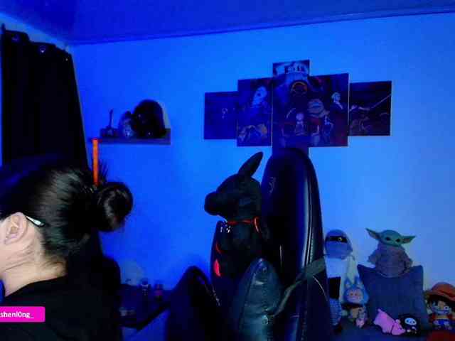 Nicorobin webcam