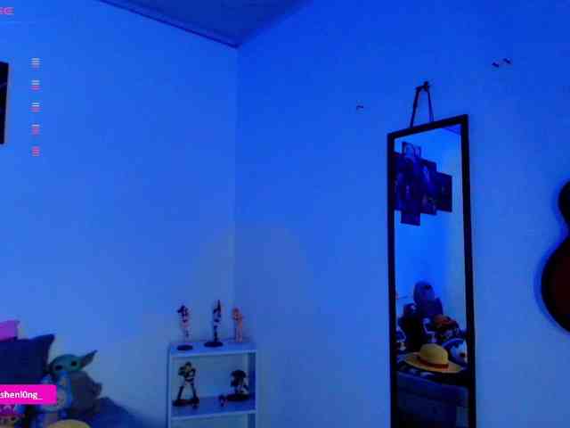 Nicorobin webcam