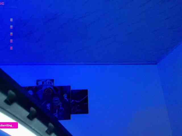 Nicorobin webcam