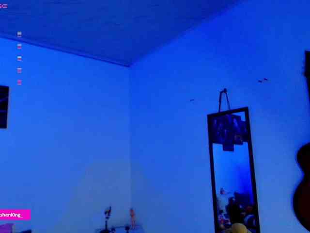 Nicorobin webcam