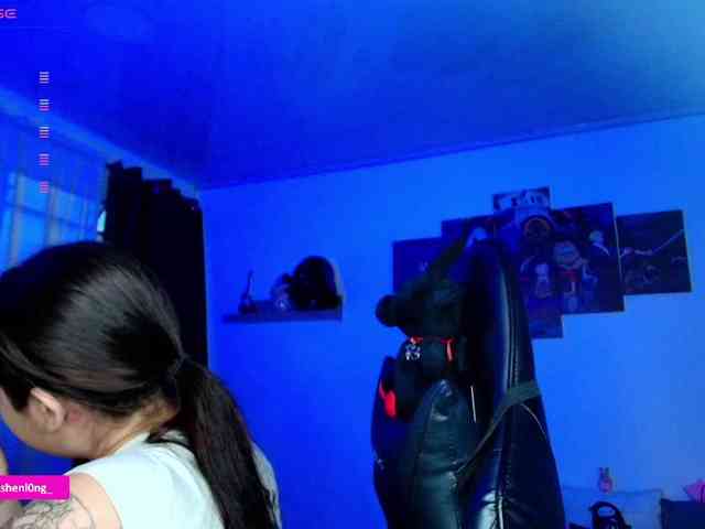 Nicorobin webcam