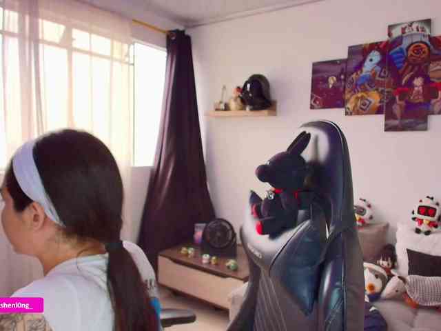 Nicorobin webcam