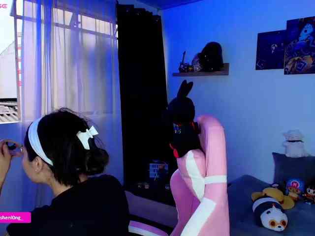 Nicorobin webcam