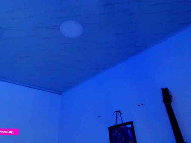 Nicorobin webcam