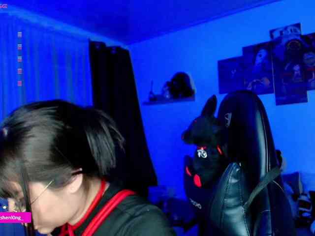 Nicorobin webcam