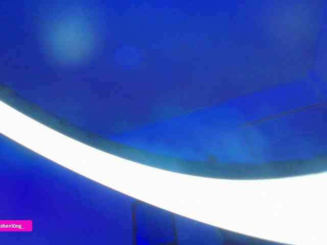 Nicorobin webcam